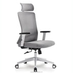 Alpha Back - Ergonomic Chair