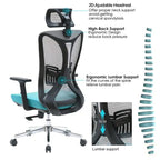 Executive Chair Recliner - A613