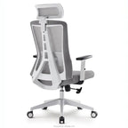 Alpha Back - Ergonomic Chair